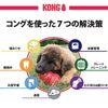 Kong Dog Toy, Kong, Size M
