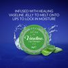 LIP CARE VASELINE Lip Therapy Aloe 20gm