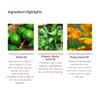 PURECEUTICALS Kahai Oil Cleanse