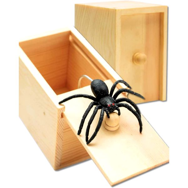 HALEEMS Spider Box Prank, Gift Box Spider Prank, Kid Prank Toys, Fake Spider Box, Spider Prank Scare Box, Spider Prank Box Realistic, Spider in a Box Prank Gift, Prank Spider Scare Box