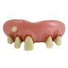 Billy Bob 10031 Deliverance Fake Teeth Novelty Item,60 months to 180 months