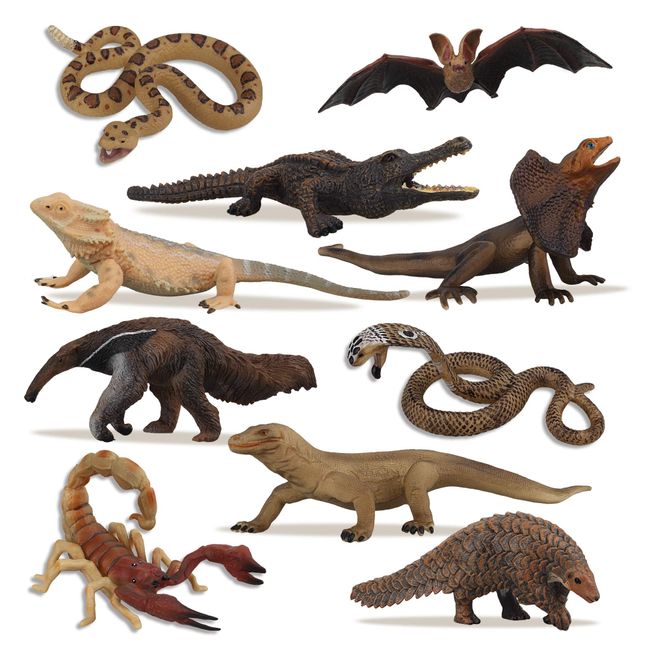 TOYMANY 10PCS Tropical Reptile Animal Figurine Toy Set - Cold Blooded Amphibians Jungle Animal Figures Set with Dragon Lizard Snake-Christmas Birthday Gift Party Favor School Project for Kids Toddlers