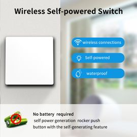 Remote Control Wireless Switch Kinetic Self-Powered Wall Light