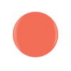 Gelish Powder Dip Collection (I'm Brighter Than You) Orange Nail Dip Powder, Orange Nail Powder, Dip Powder Colors, 8 ounce