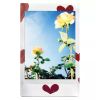 Instax Mini Heart Sketch Film 10 shot