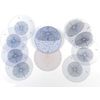 Weems & Plath Marine Navigation Star Finder 2102-D
