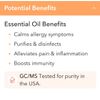 Vitality Extracts TUMERIC   Essential Oil 30 ml. Retail: $48.95 SEALED