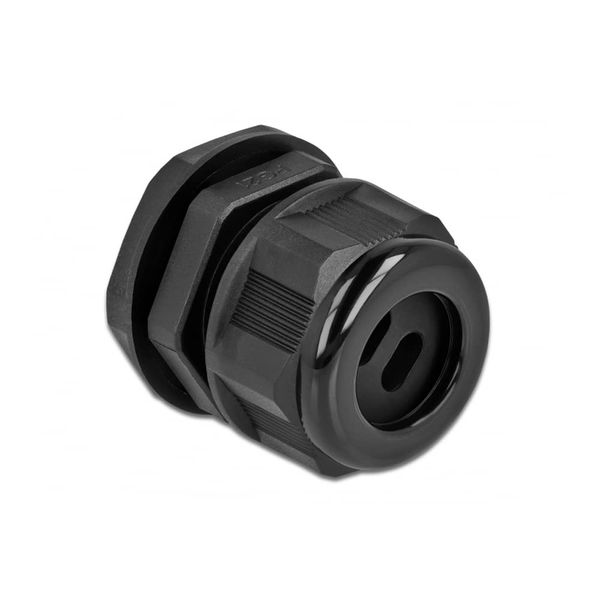 Delock Cable Gland PG21 for Flat Cable with 2 Cable Inlets Black
