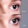 FAIRYDROPS Quattro Rush Mascara Film Type, Ruby Brown, 0.2 oz (5.5 g), Japanese and US Patented "4-Ball Brush", Long, Curl, Keep, Separate