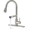 Kitchen Faucets, Upgraded Filter Water Kitchen Faucet with Pull down Sprayer, Br