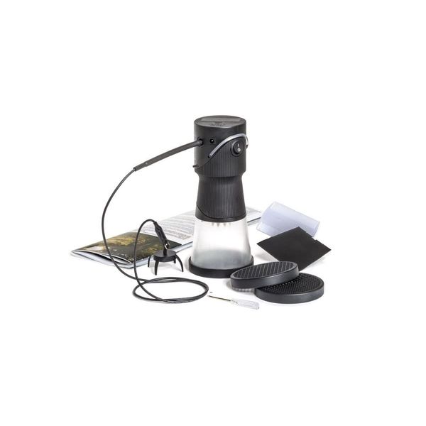 Woodland Scenics FS639 Static King, Black