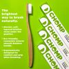 Chomp Bamboo Flossing Toothbrush (4)