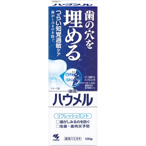 Haumel Medicated Toothpaste, 3.5 oz (100 g), Fills Teeth Holes, Kobayashi Pharmaceutical (Quasi-Drug), 1 Piece