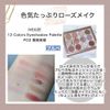 Hexze Eyeshadow Palette, 12 Colors, Pro Eye Palette, Eye Planner Palette, Makeup Palette, High Color, Lasting #02