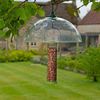 Smart Garden Squirrel Baffle