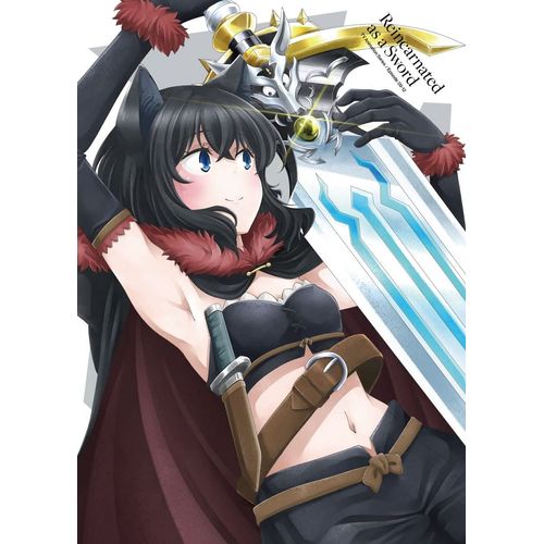 転生したら剣でした DVD Vol.3 [DVD]