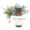Pine Essential Oil 10ml - 100% Pure and Natural