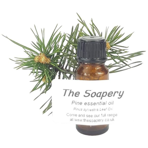 Pine Essential Oil 10ml - 100% Pure and Natural