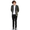 Harry E. Styles (Grey Blazer) Mini Size Cutout
