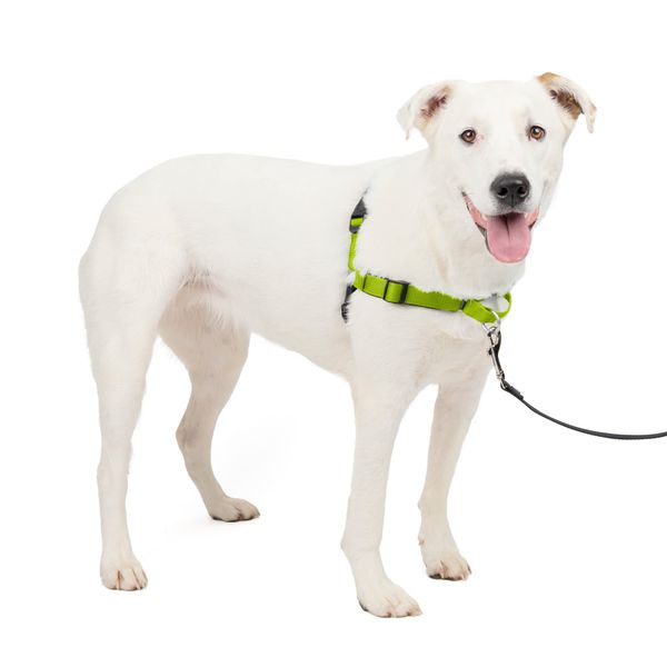 PetSafe® Deluxe Easy Walk® Dog Harness, No Pull Harness, Stop Pulling, Great For Walking and Training, Comfortable Padding, For Large Dogs- Apple, Medium/Large