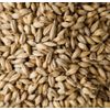 Briess 2-Row Brewers Malt - 10 LB, Uncrushed