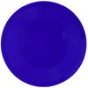 Non Slip Pad Dycem Round 19cm Diameter Blue