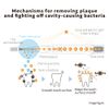 Soladey Rhythm 2, Ionic Power Electric Toothbrush, Solar Panels and TiO2 Semiconductor (Snow White), Ready to use Ionic Toothbrush