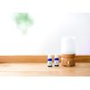 daily delight essential oil rosemary 10ml