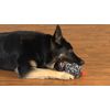 Gazoos Interactive Toy - Leaping Leopardo