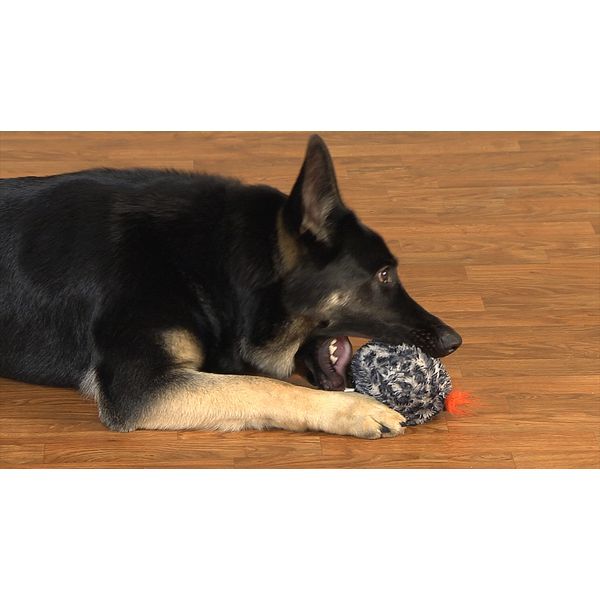 Gazoos Interactive Toy - Leaping Leopardo
