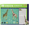 Famemaster 4D Vision Giraffe Anatomy Model, 14.5 inches