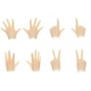 OBITSU22 Hand Parts Set A Natural 22AC-FP01N