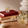 Bolsius 101826943477 Wax, Lavender, One Size