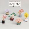 Miyuki Negitte Bonsai Kit, Autumn Leaves HCA30-5