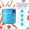 (2-Pack) Ashwagandha Gummies for Calm, Relaxation, and Immune Support