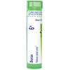 Boiron Borax 6X Homeopathic Medicine for Canker Sores - 80 Pellets