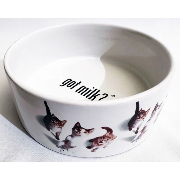 At Home Got Milk Ceramic Cat Bowl Pet Dish California Milk Processor Board 1999