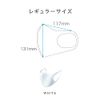 PITTA MASK REGULAR WHITE 3P 3 Pack with 2 Samples