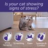 Feliway Optimum Refill,Purple,Package may vary, 3 Count ( Pack of 1)