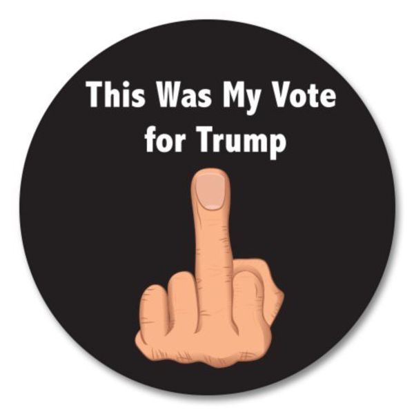 This was My Vote for Trump - Vinyl Sticker - Select Size