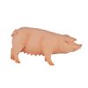 Pig (Sow) by Mojo