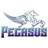 CafePress Pegasus Oval Sticker Oval Car Bumper Sticker