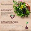 Best Botanicals Wild Yam Root Powder 16 oz.