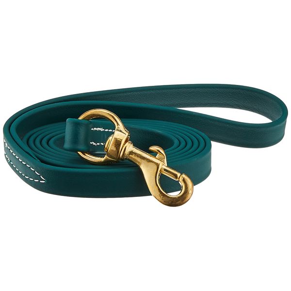 J&J Dog Supplies Biothane Dog Leash, 3/4" Wide by 6' Long, Hunter Green