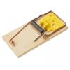 Decco Ltd Rentokil PSW107 Wooden Mouse Trap