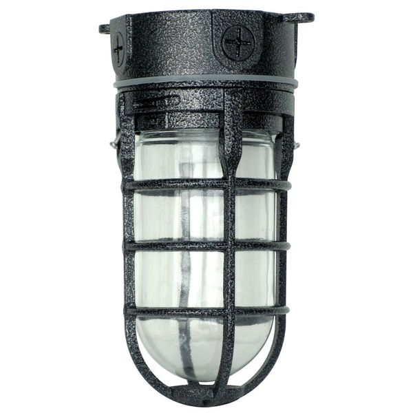 Woods L1706BLK Vandal Resistant 150W Incandescent Security Light Ceiling Mount Hammered Black