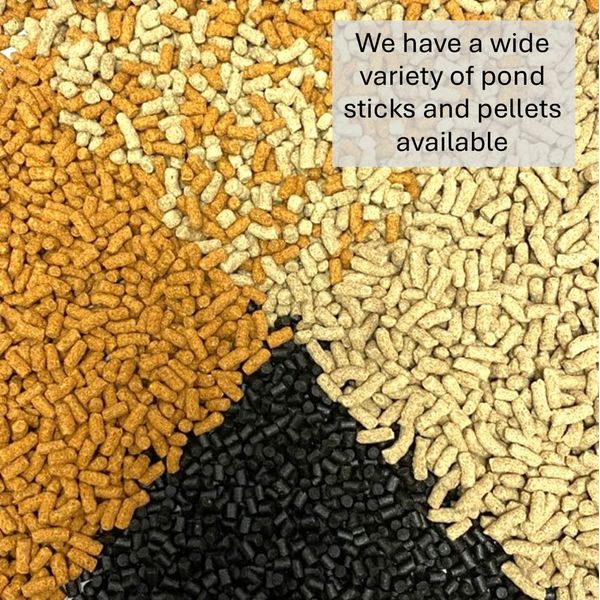 Wheatgerm Pond Pellets 200g Premium Quality All Year Round (Including Winter) Complete Food SLW