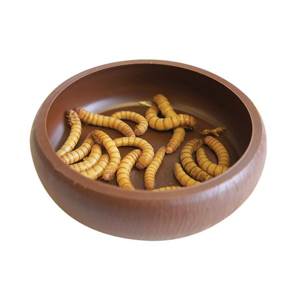 Happy Pet Mealworm Dish