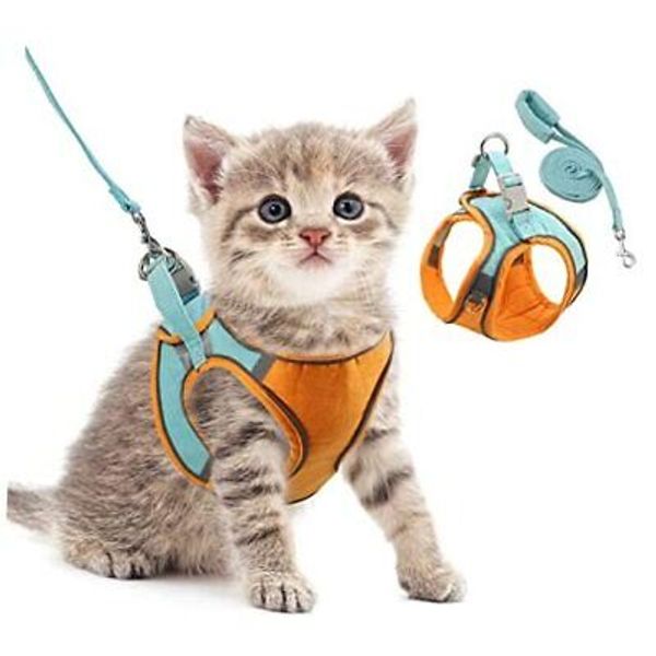 Pet Harness, Dog Harness, Cat Harness and Leash Set, XX-Small Orange