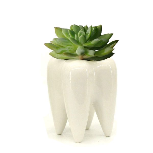 MONMOB Ceramic Tooth Shaped Pen Pencil Toothbrush Holder Pot Succulent Plant Pot Home Office School Dentists Gift Ideal Gifts for Women, Mom or Birthdays